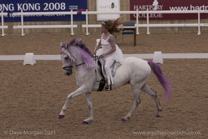 Lusitano Breed Society of Great Britain Show - Hartpury College - 27th June 2009